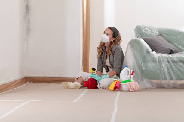 Reliable Mold Cleanup contractor in Paris, IL by WQB Mold Removal